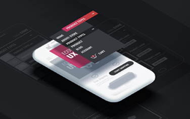 Multimedia and web